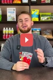 3 незаменимых растения на участке