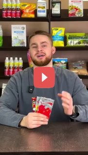 3 незаменимых растения на участке