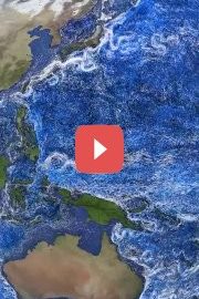 Глобальная циркуляция океана