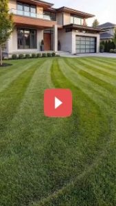 Идеи для озеленения участка