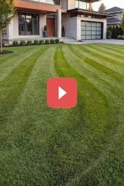 Идеи для озеленения участка