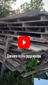 Как выбрать растения для вашего сада