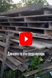 Как выбрать растения для вашего сада