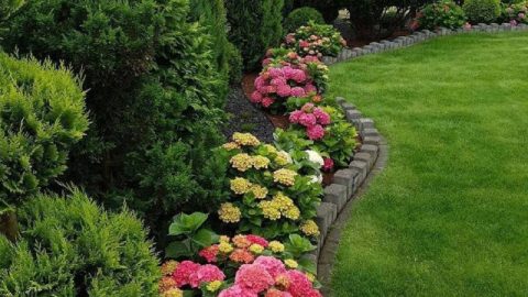 Композиции из хвойных на вашем участке