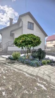 Ландшафтный дизайн: Что посадить на фоне дома?