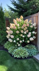 Ландшафтный дизайн: Что посадить перед гортензией в цветнике?