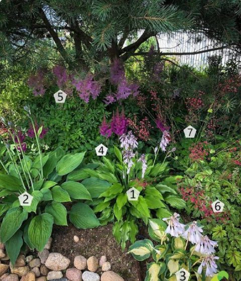 Ландшафтный дизайн: Чудесный миксбордер для вашего сада