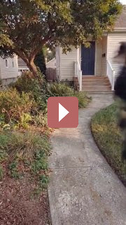 Ландшафтный дизайн: Декоративная дорожка из бетонной стяжки