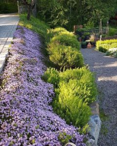 Ландшафтный дизайн: Как оформить склон с помощью почвопокровных растений