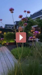 Ландшафтный дизайн: Как создать цветник мечты