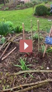 Ландшафтный дизайн: Как создать опору для пионов