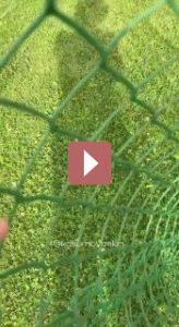 Ландшафтный дизайн: Как украсить старый колодец