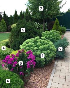 Насыщенный миксбордер вдоль садовой дорожки