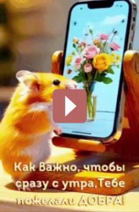 Открытки: Поздравления на каждый день