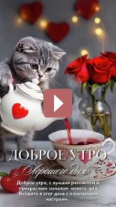 Открытки: Поздравления на каждый день