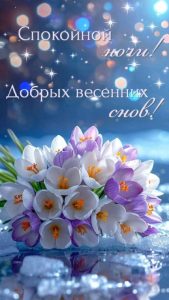 Открытки: Поздравления на каждый день