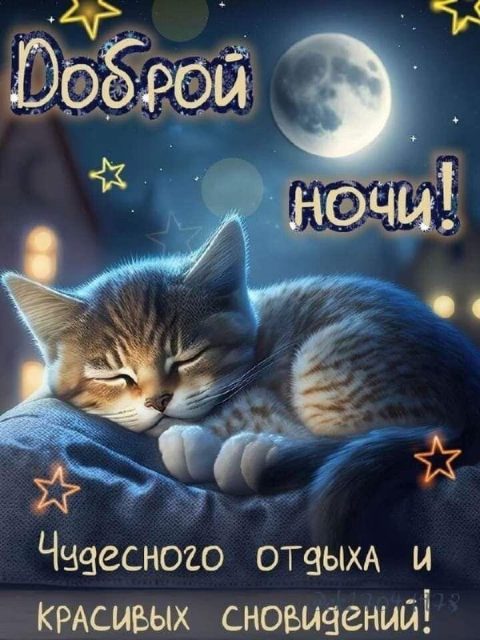 Открытки: Поздравления на каждый день