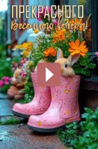 Открытки: Поздравления на каждый день