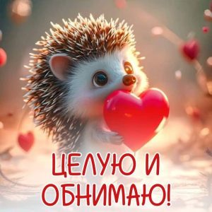 Открытки: Поздравления на каждый день