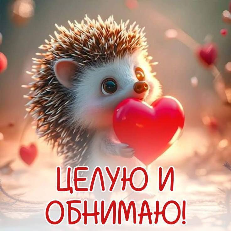 Открытки: Поздравления на каждый день