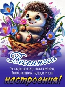 Открытки: Поздравления на каждый день