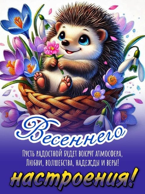 Открытки: Поздравления на каждый день