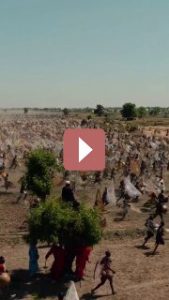 Путешествия: **50 тысяч человек пытаются поймать самую большую рыбу — так выглядит ежегодный фестиваль рыбалки в Нигерии**