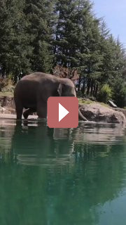 Путешествия: Феноменальный мир цветов