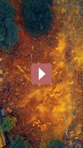 Путешествия: Фестиваль Холи