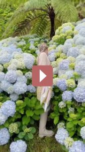 Путешествия: Португальские Азорские острова