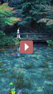 Путешествия: **Пруд Моне: Вдохновение Клода Моне **