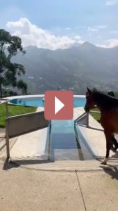 Путешествия: Терапевтический бассейн для лошадей в Колумбии