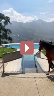 Путешествия: Терапевтический бассейн для лошадей в Колумбии