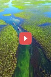 Река Парагвай: граница между странами