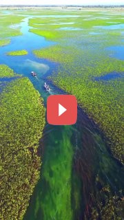 Река Парагвай: граница между странами