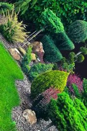 Создаём сад своей мечты