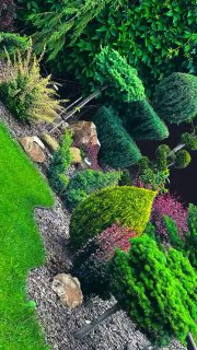 Создаём сад своей мечты