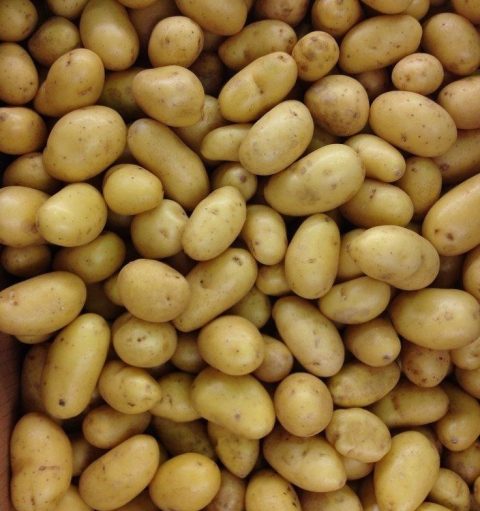 Здоровье: Картофельный компресс при трещинах на пятках