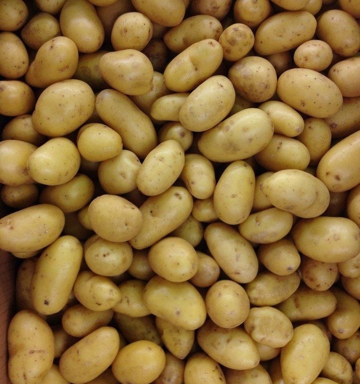 Здоровье: Картофельный компресс при трещинах на пятках