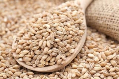 Здоровье: Каша для молодости и долголетия