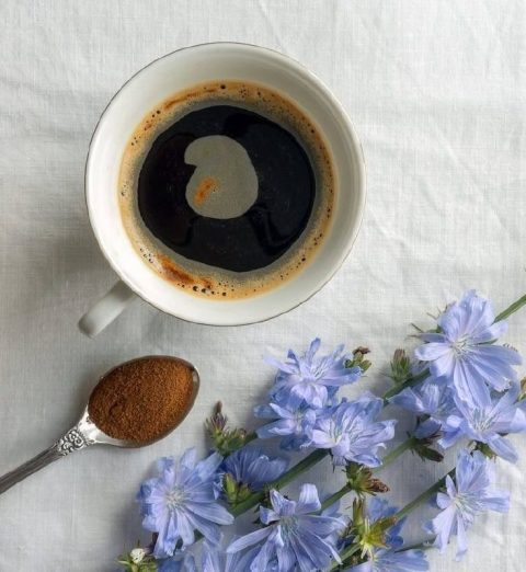 Здоровье: ПОЛЬЗА ЦИКОРИЯ