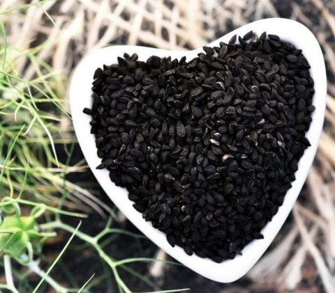 Здоровье: Семена тмина для лёгкого пищеварения